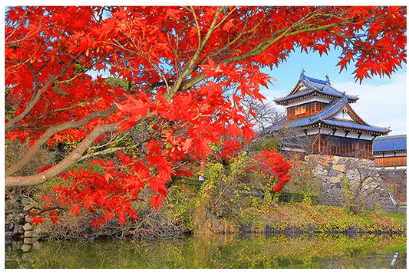 郡山城跡