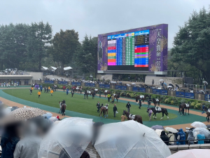競馬観戦中