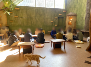 てまりのおうち