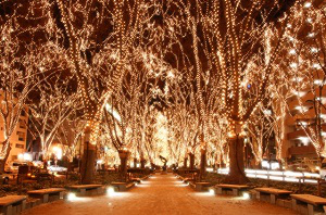 仙台光のページェント