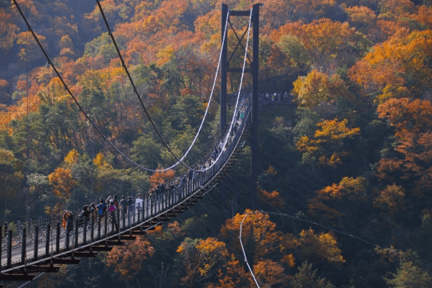 秋イベント/スポーツ