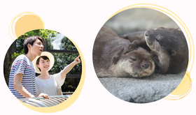 東山動物園