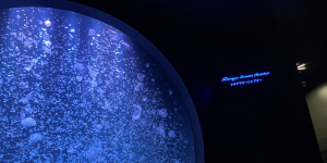 水族館