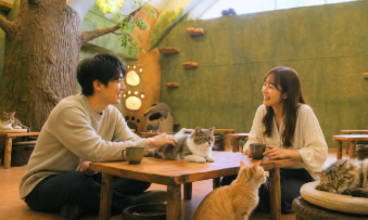 ねこんかつ