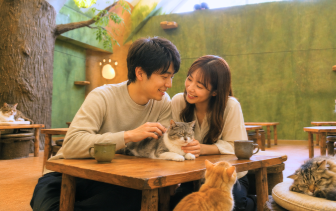 ねこんかつ