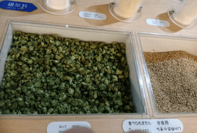 工場見学