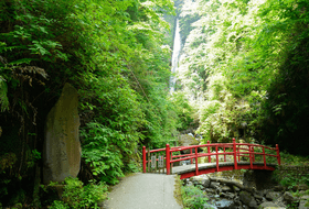 洒水の滝