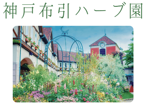 神戸布引ハーブ園