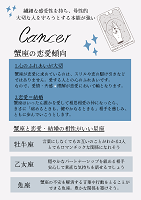 占いパーティー