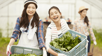 畑の野菜