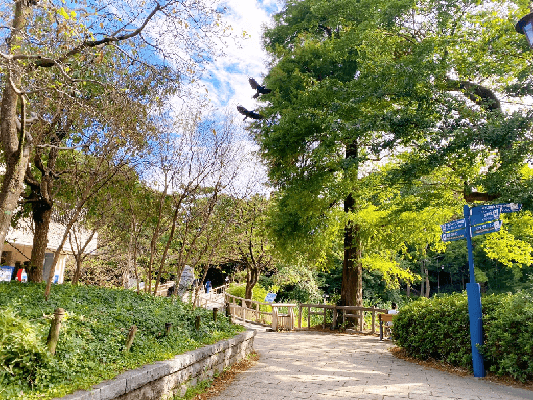 井の頭公園