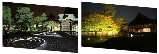 高台寺/同行なし/秋イベント