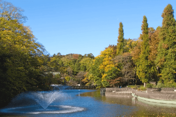 公園でデート