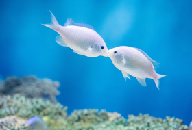 水族館