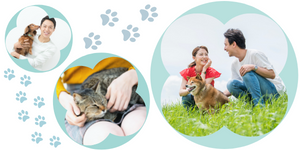 結婚したらペットを飼いたい