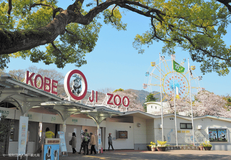 動物園/グループ/連絡先交換自由