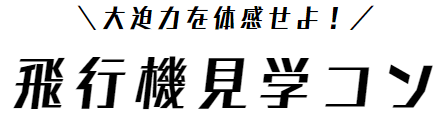 スタッフ同行なし