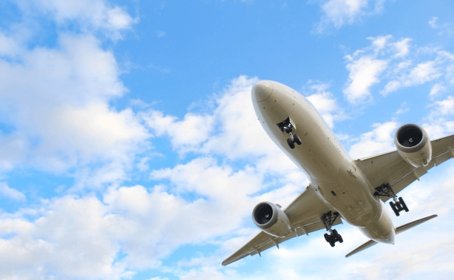 スタッフ同行なし