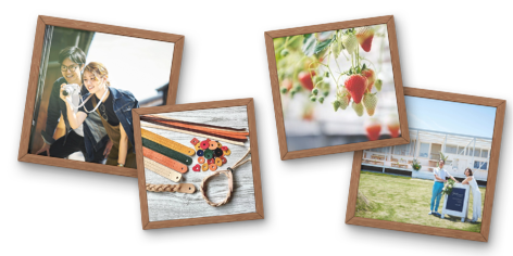 今治バスツアー