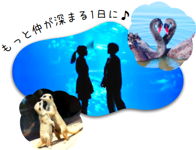 水族館デート