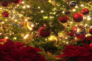 メリークリスマス