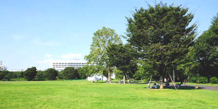 公園でデート