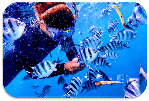 シュノーケリング