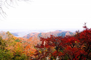 高尾山山頂紅葉