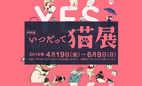 猫展