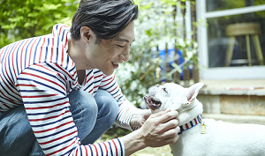 ハイステ男性のイメージ
