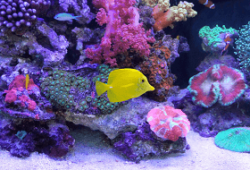 水族館