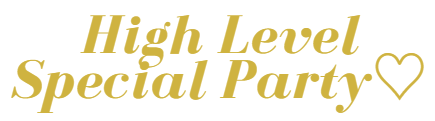 ハイレベルパーティー
