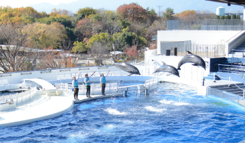 水族館