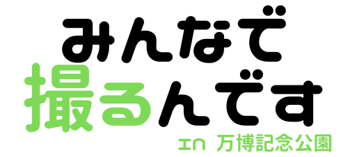 撮影婚活