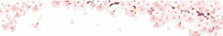 桜の画像