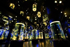 クリスマスを水族館で楽しむ