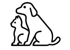 カップル