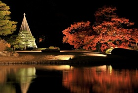六義園ライトアップ