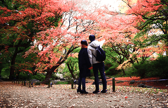 しあわせエピソード画像