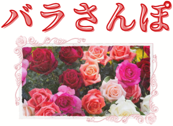 おさんぽ/季節限定