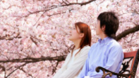 お花見