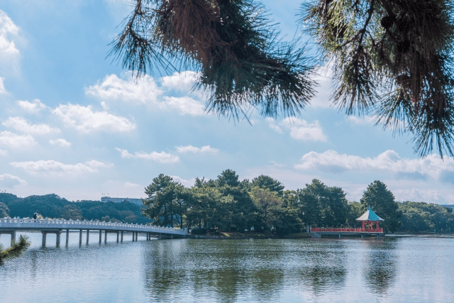 大濠を散策しよう