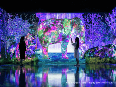 チームラボ福岡で開催