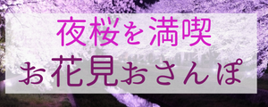 お花見コン