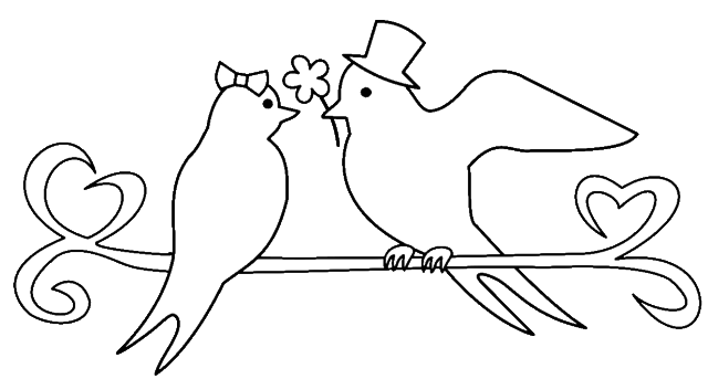鳥カップル