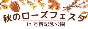 秋バラ