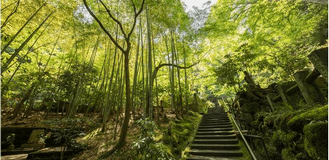 九頭竜神社