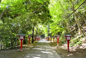 高尾山