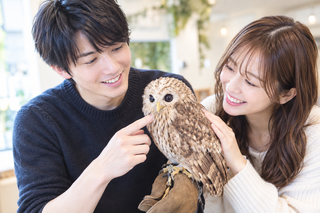 男女