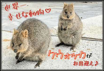 お台場